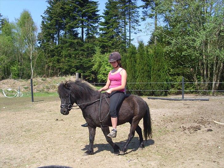 Anden særlig race Blackie - 25 april 2011 billede 6