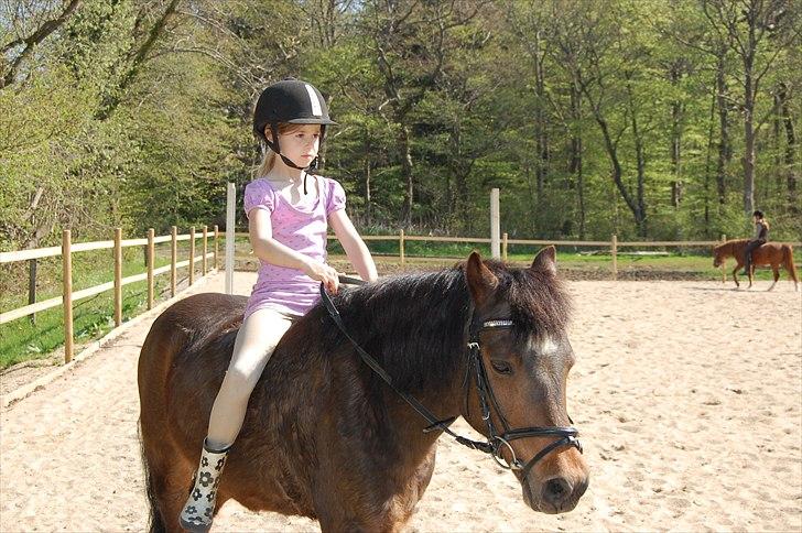 Anden særlig race Prins - jeg elsker den pony:) billede 14