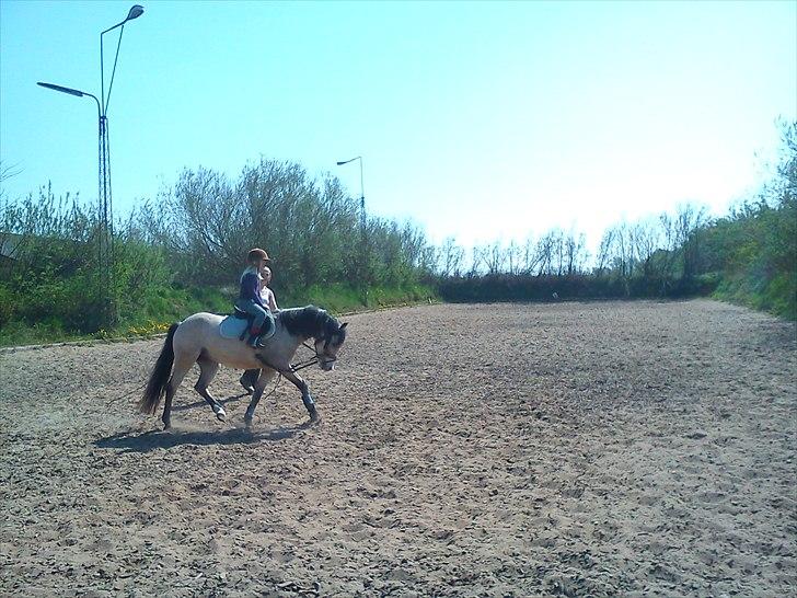 Welsh Partbred (Sec F) TF Soft Eyez - Jessica ude og ride på Soft, det er første gang hun blir longeret uden støtte. billede 18