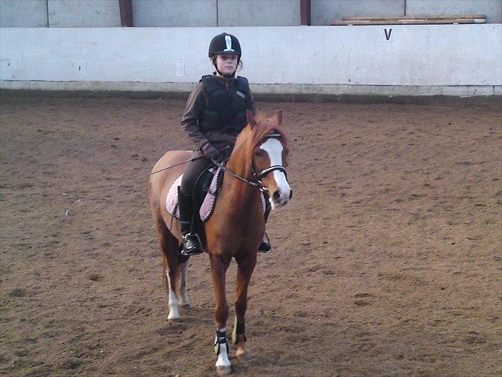 Anden særlig race Barbie (Stella) - Velkommen til Stellas profil billede 1