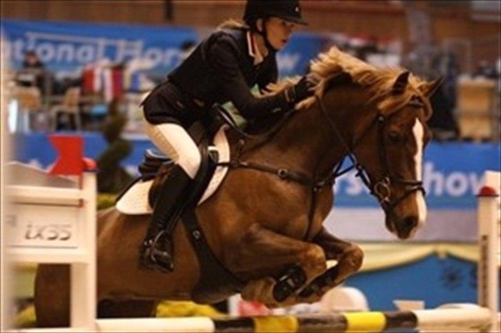 Anden særlig race Hard Times - Med tidl. ejer Victoria Wasler. Sammen havde de 13 internationale sejre i 2010 billede 7