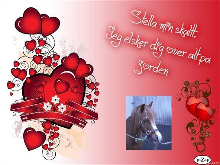 Anden særlig race Barbie (Stella) billede 2