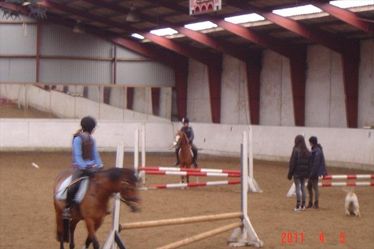 Anden særlig race Barbie (Stella) - mener du virkelig at jeg skal springe det billede 4