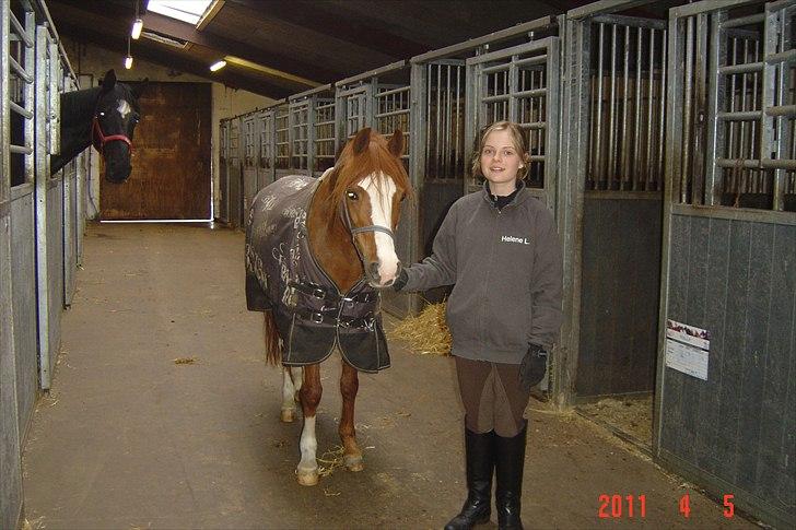 Anden særlig race Barbie (Stella) billede 5