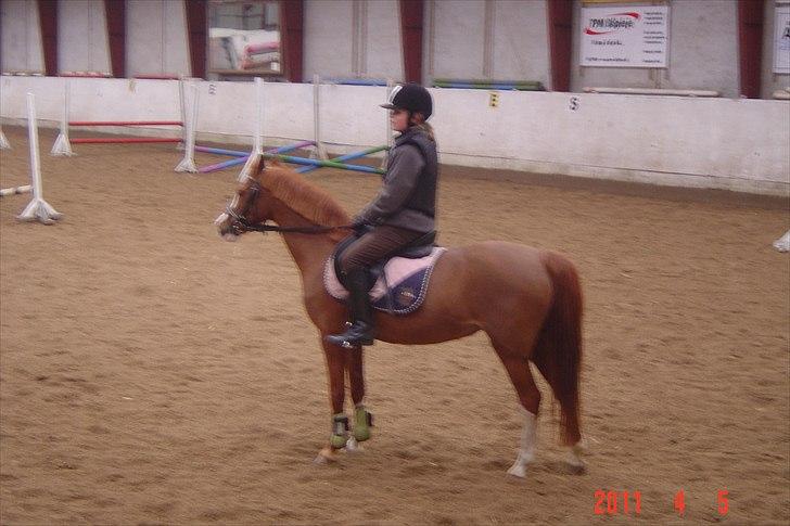 Anden særlig race Barbie (Stella) billede 6