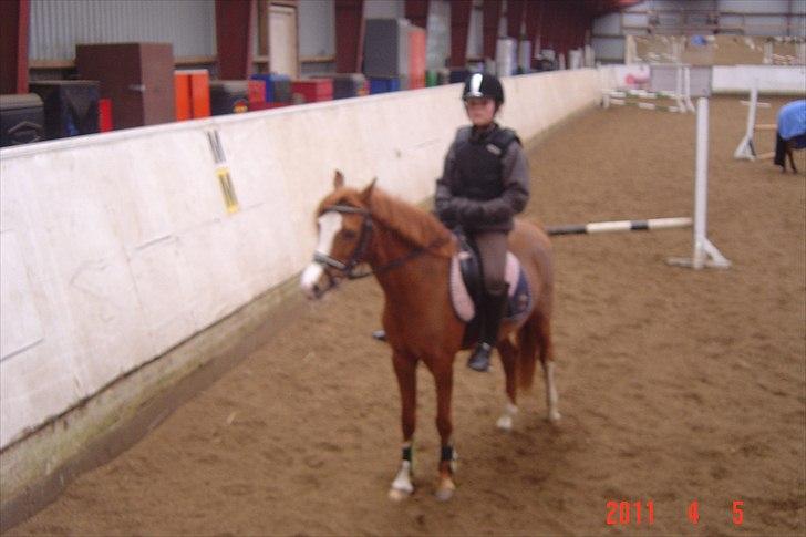 Anden særlig race Barbie (Stella) billede 7