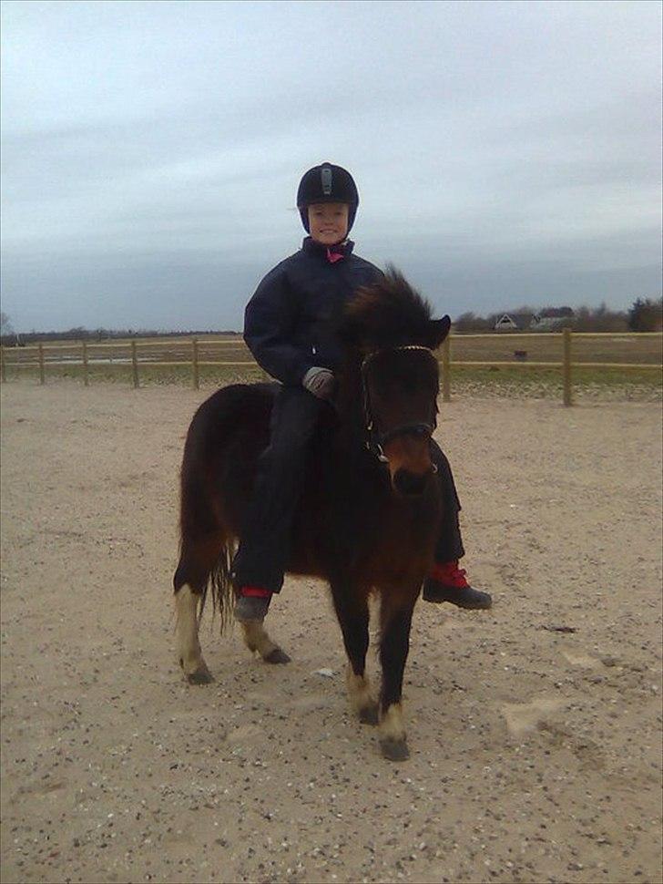 Anden særlig race Tøsen - Perfekte!<3 - Mega gammel billede, tror det er nummer to eller tre gang jeg rider hende!:-* Jeg ved godt jeg linger en tumpe med alt det tøj på men det var altså mega koldt xD billede 16