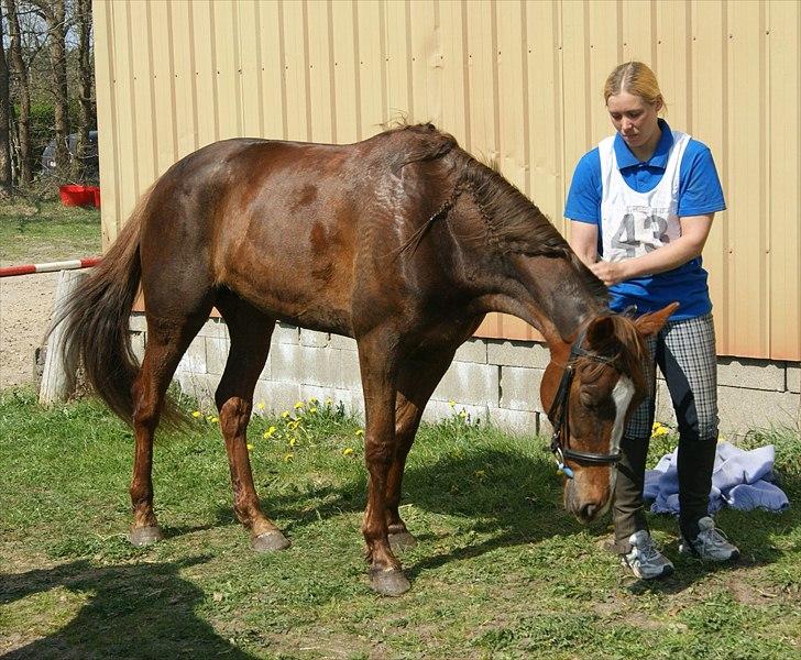 Standardbred Ona Cezz billede 17