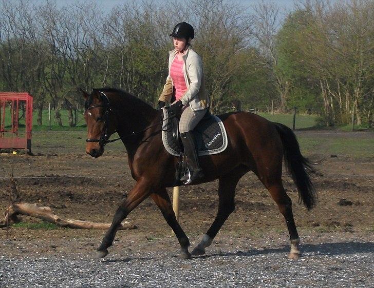 Anden særlig race Florentine - Tine og jeg, april 11 billede 2