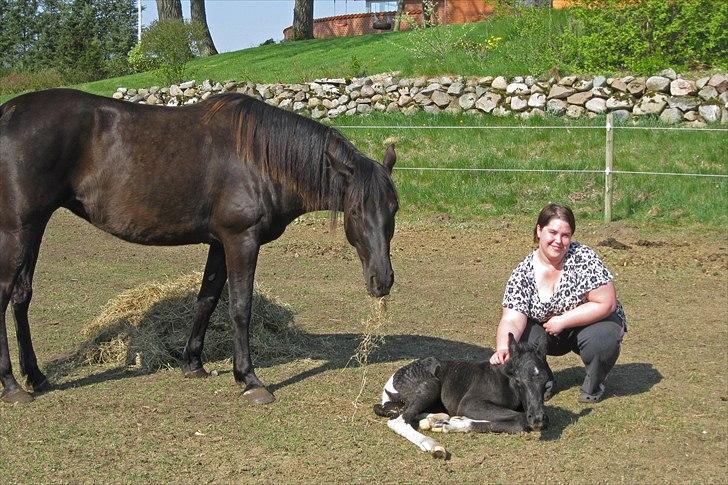 Tennessee Walker Joyful Mr. Forest Walker - Bushy, Joyce og mig 25/4 2011. billede 6