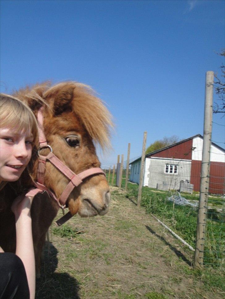 Miniature Mimmie (låne pony) - uh, hvad er det der er derovre?? :) billede 10