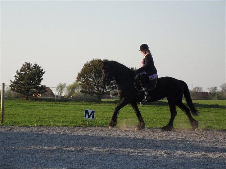 Frieser WHISPER GIRL <3 * solgt og savnet * billede 6