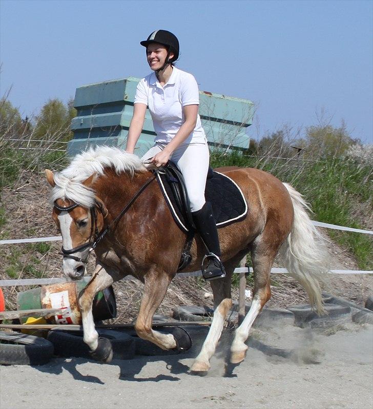 Anden særlig race Amanda solgt billede 18