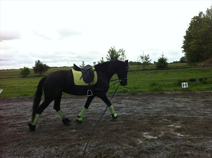 Frieser WHISPER GIRL <3 * solgt og savnet * billede 10