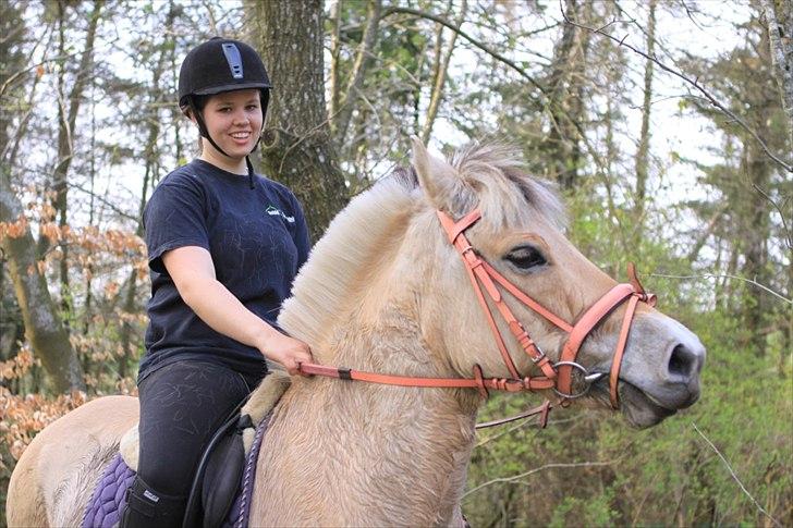 Fjordhest PUK<3 -Frygtløs den frygtsomme pony- - puk og Laura <3
tur med pink trense,  billede 10