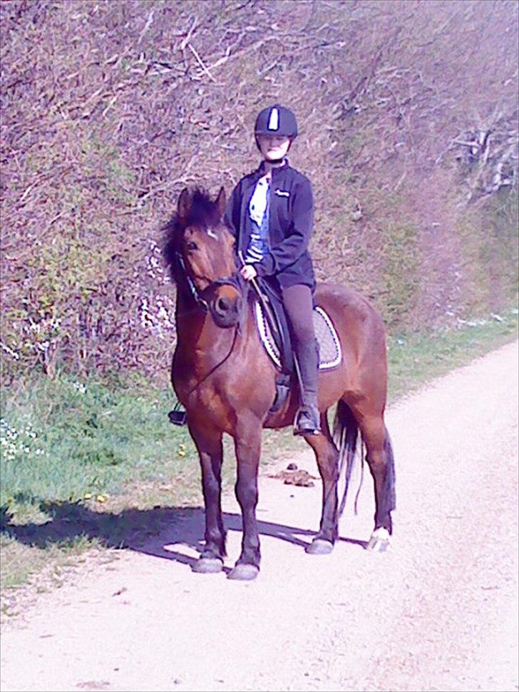 Anden særlig race Walter - 20) mig og walter på tur :) billede 12