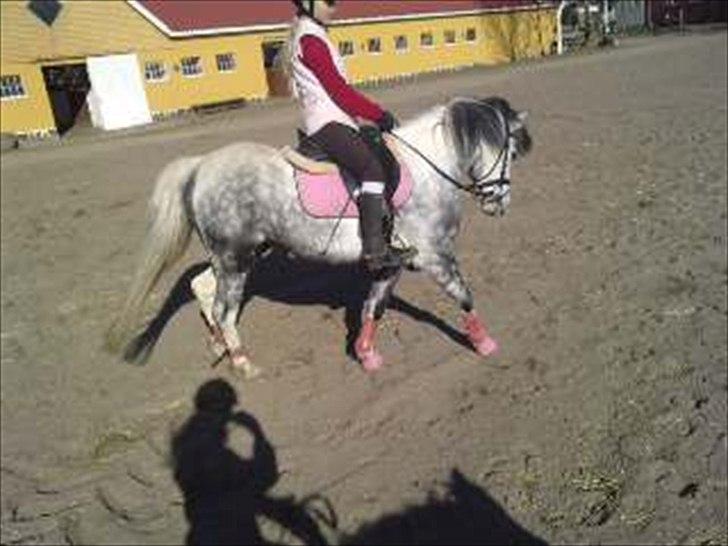 Anden særlig race Pink Lady <3 savnet   - lille Lady der går til bidet:D<33 billede 1