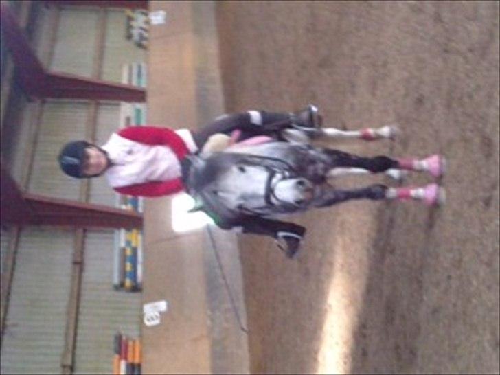 Anden særlig race Pink Lady <3 savnet   - lady der er træt efter en laang ride time:D<3 billede 5