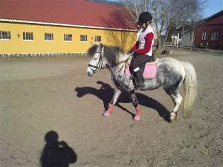 Anden særlig race Pink Lady <3 savnet   - fik du lige noget i øjet lady :D billede 6