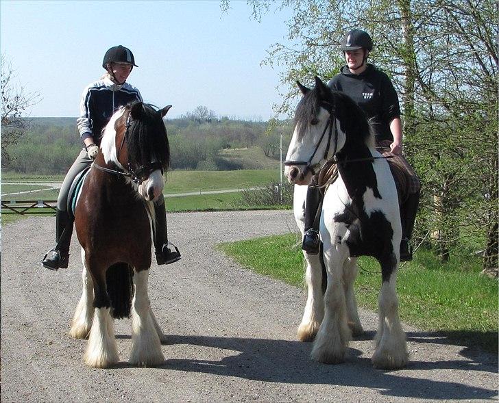 Tinker *Sofus* - På tur i hedeland..  billede 11