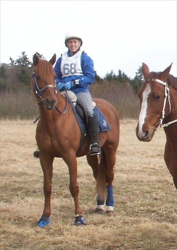 Traver Bounty Toftebjerg - Til Feldborgridtet. billede 16