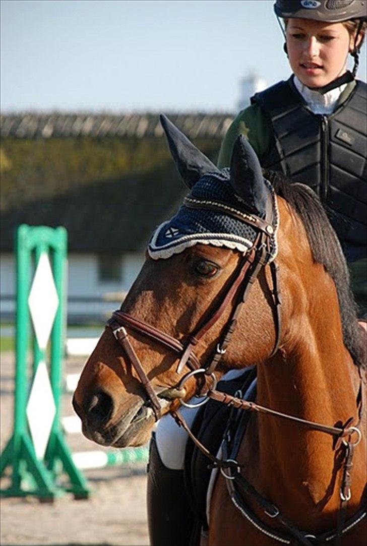 Anden særlig race Double Duffy - Helsinge April 2011. Vinder MB** Foto: Mie Raun billede 1