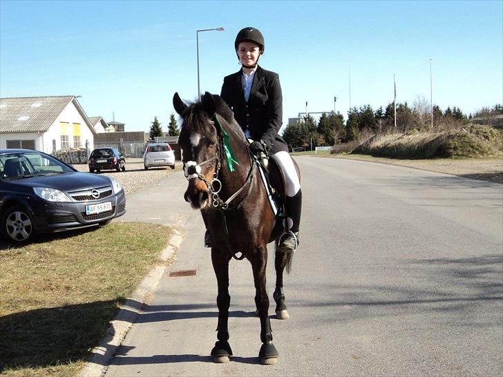 Anden særlig race Le Fleur - fejlfri ULE i Farsø. billede 9