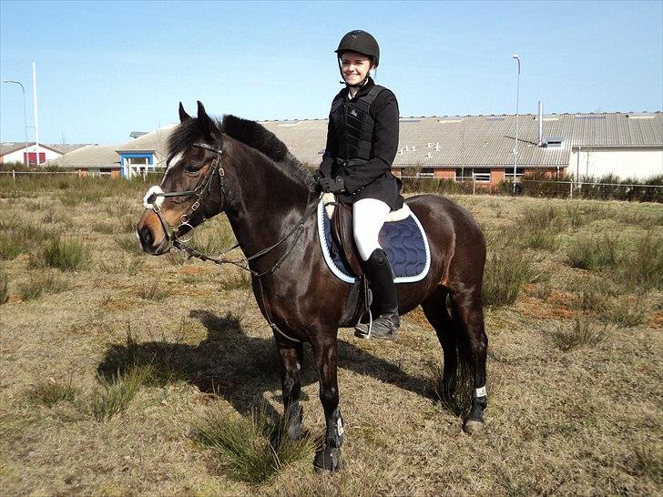 Anden særlig race Le Fleur billede 10