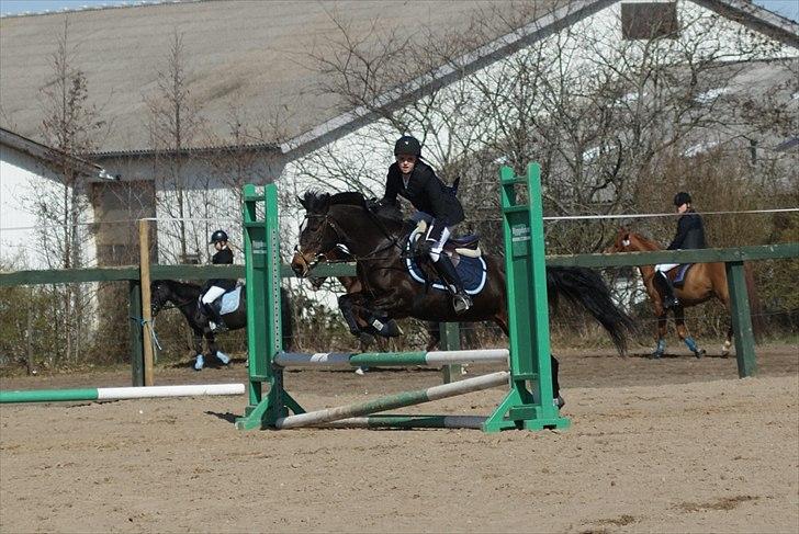 Anden særlig race Le Fleur - stævne i Farsø, tror nu nok at vi skulle dreje efter springet ;) billede 12