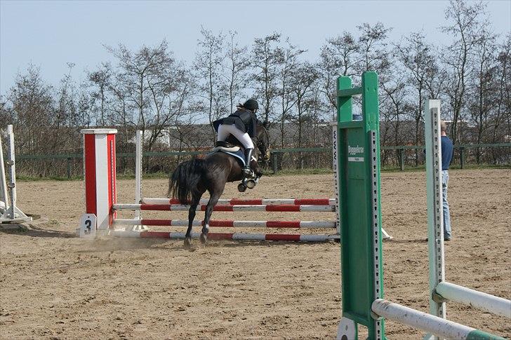 Anden særlig race Le Fleur - tak for kigget. billede 13