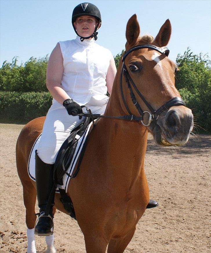 New Forest Fuglekildes Savoy - Min søster og Savoy til stævne :-) billede 6