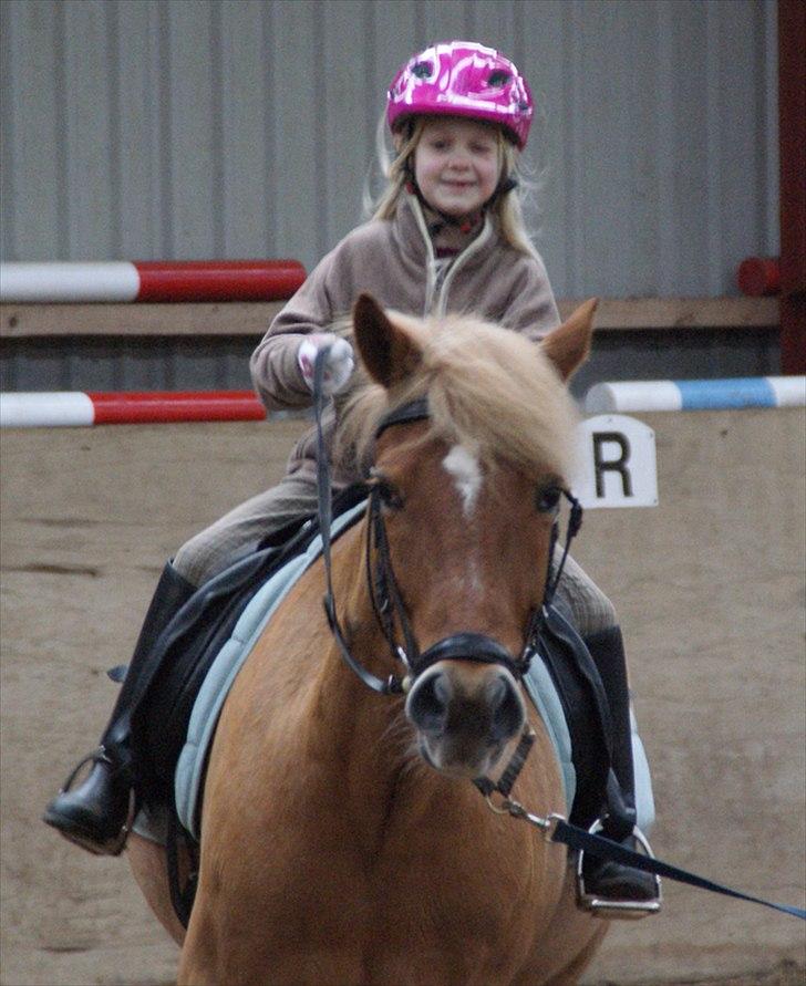 New Forest Fuglekildes Savoy billede 10