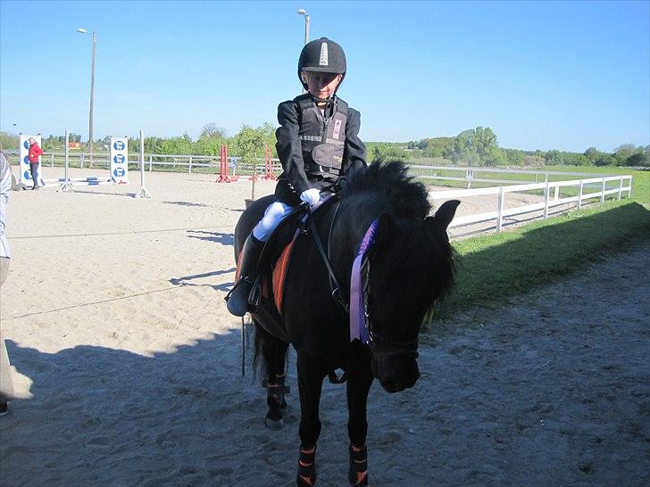 Welsh Pony (sec B) Papaya - Nadja`s Andet stævne på Papaya billede 6