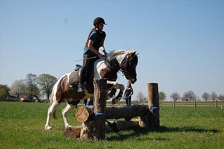 Anden særlig race Hidalgo - Mathilde på militarybanen april 11 billede 11