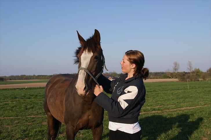 Anden særlig race Lamona <3 - Flere billeder kommer når jeg har redet hende igen, ellers bliver de ensartede.. billede 1