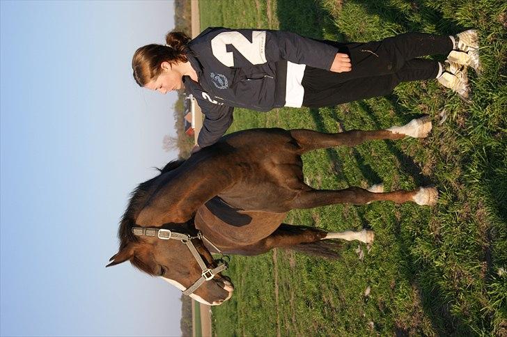 Anden særlig race Lamona <3 billede 2