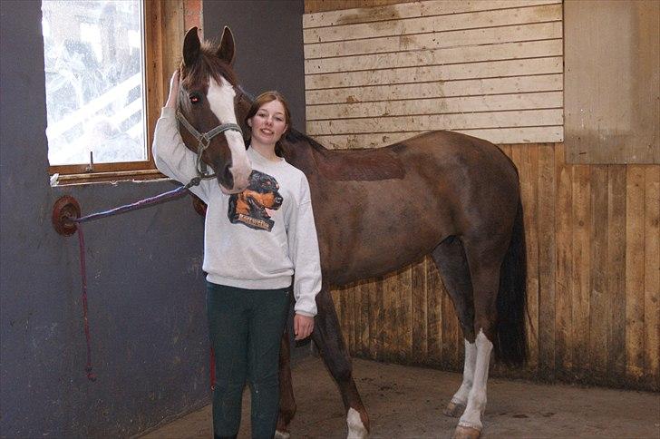 Anden særlig race Lamona <3 billede 7