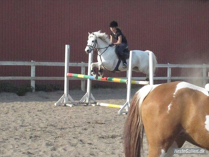 Connemara Skatholm Surf Rider - Træning billede 10