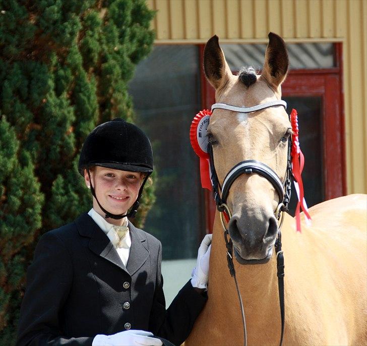 Tysk Sportspony Bodethal's Romy A-pony billede 4