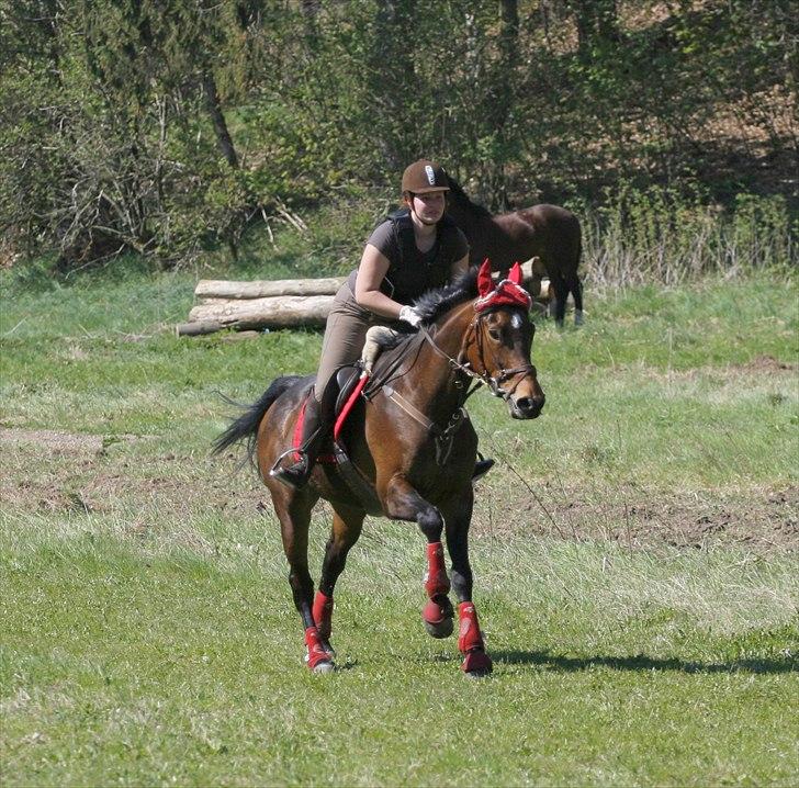 Anden særlig race Tatianna [ R.I.P ] - Foto: Renee Kristensen. Sted: Langå millybane MJJR billede 2