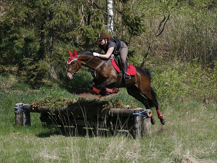 Anden særlig race Tatianna [ R.I.P ] - Foto: Renee Kristensen. Sted: Langå millybane MJJR billede 3