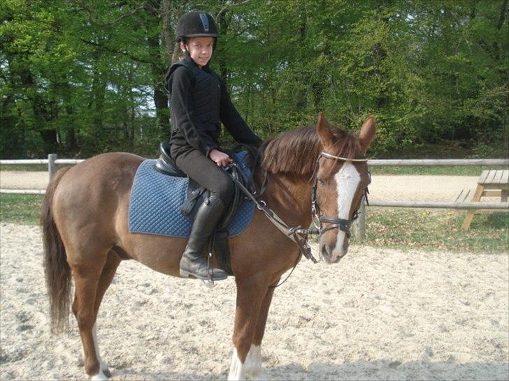Anden særlig race Silas - Søde lille Silas og mig <333 billede 1