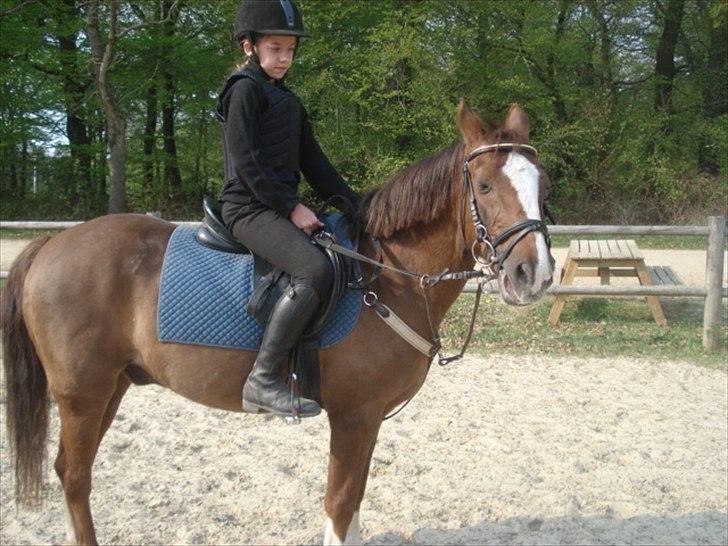 Anden særlig race Silas - love you silas <33 billede 2