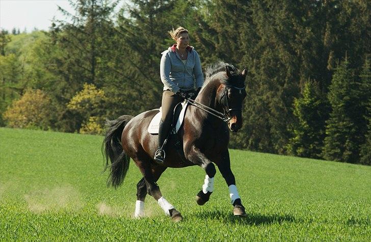 Oldenborg De Nero Af Støvlebæk billede 14