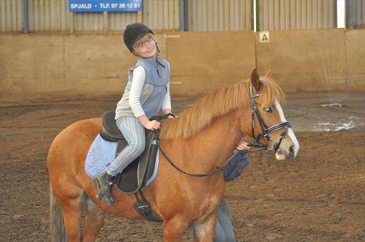 New Forest EgHolms Malou <3<3 billede 16