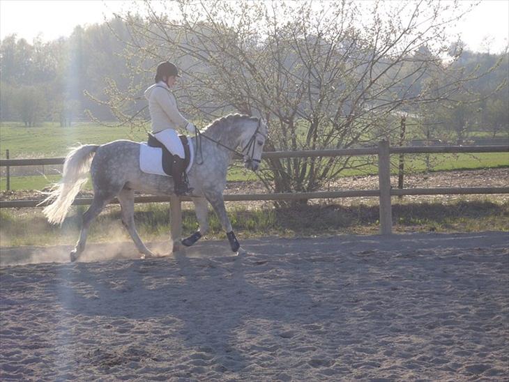 {{currentPhoto.altText}} billede {{currentPhoto.number}}