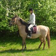 Anden særlig race Golden Wonder