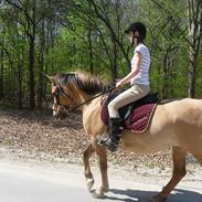 Anden særlig race Golden Wonder