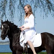 Dartmoor Egon Olsen Ronda (Ollie)