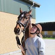 Anden særlig race Sølumosegaards Kingston SOLGT